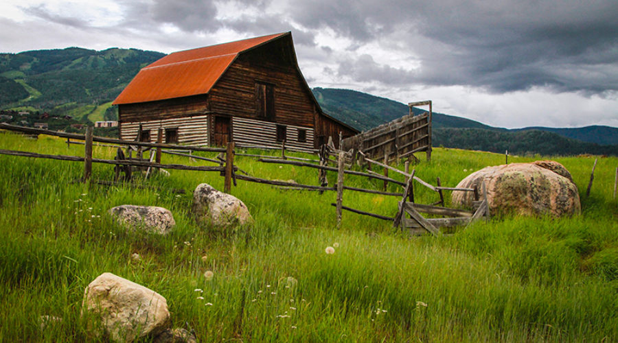 Top 3 Hiking Trails in Steamboat